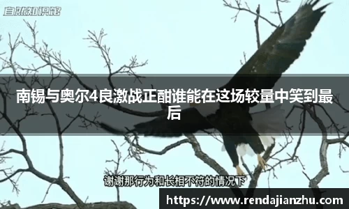 南锡与奥尔4良激战正酣谁能在这场较量中笑到最后